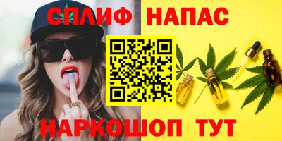 шишки Аргун