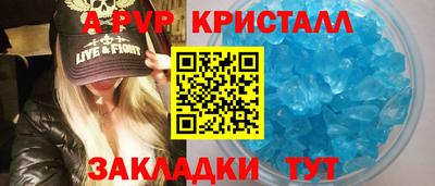 шишки Аргун
