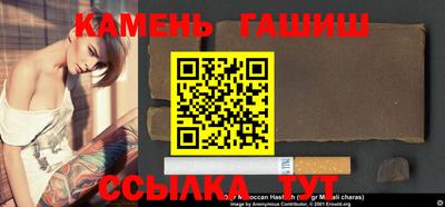 шишки Аргун
