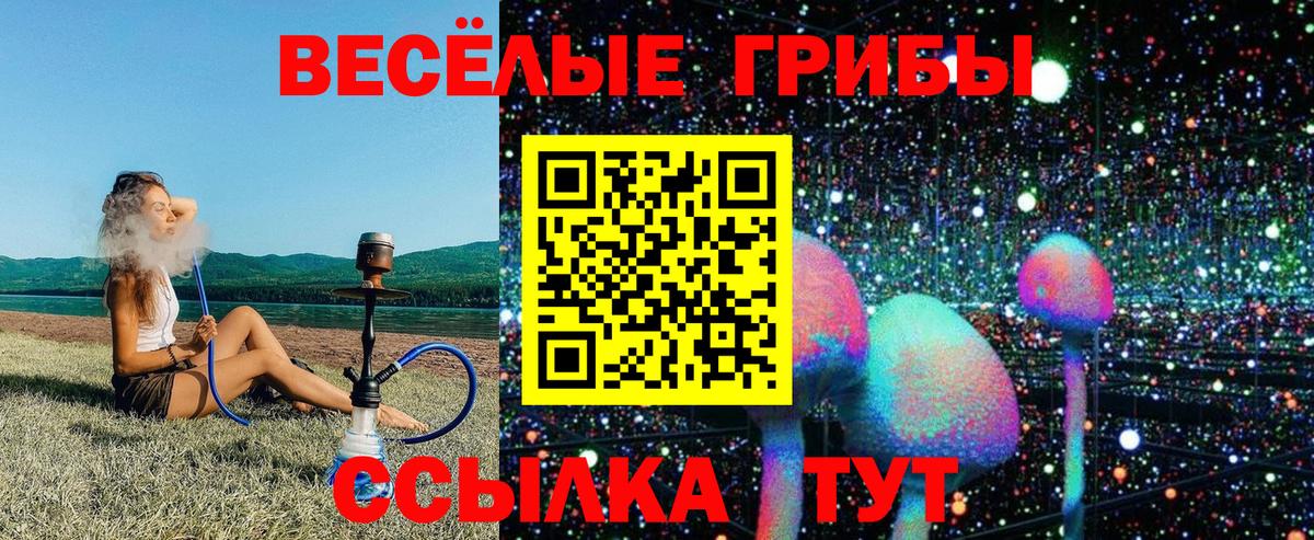 Псилоцибиновые грибы MAGIC MUSHROOMS  Вход с VPN  где купить наркотик  Великий Новгород 
